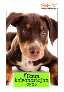 koiraoppaan kansikuva jossa koiranpentu